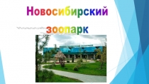 Презентация Новосибирский зоопарк Совместная деятельность.