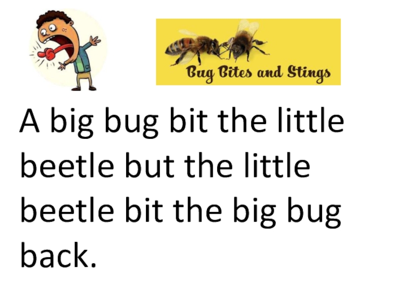 A big bug bit the little beetle but the little beetle bit the big bug back.