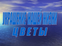 Презентация Цветы. Украшение нашей жизни