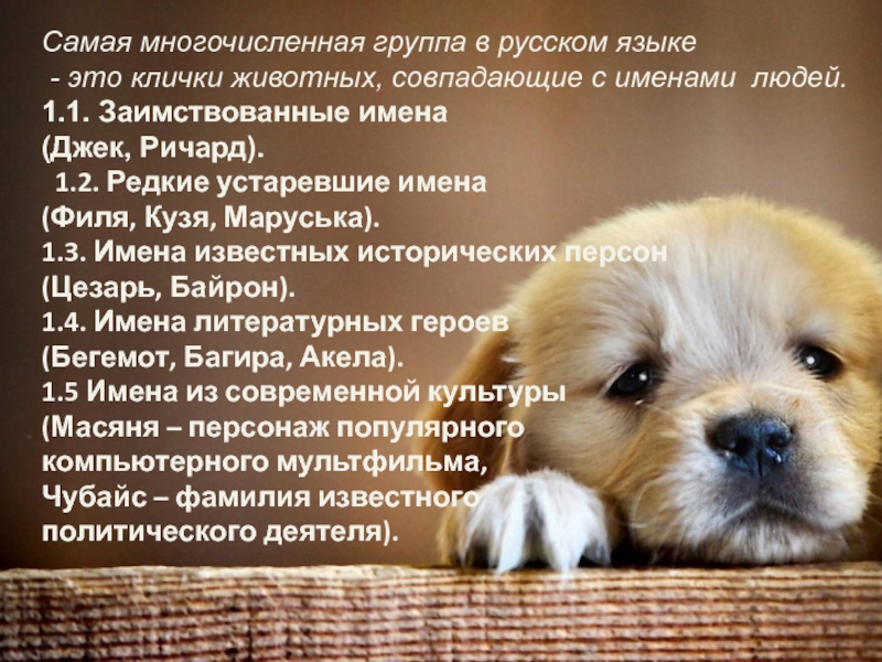 Самая многочисленная группа в русском языке - это клички животных, совпадающие с именами людей.1.1. Заимствованные имена (Джек,