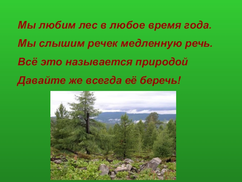 Что называют природой. Лес-наше богатство презентация. Лес богатство нашей Родины. Лес наше богатство беседа. Презентация для детей лес наше богатство.