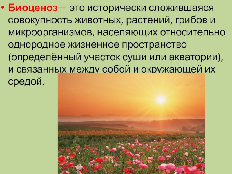 Понятие о природном сообществе 6 класс биология презентация