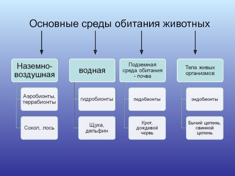 Презентация основные среды жизни экология 10 класс