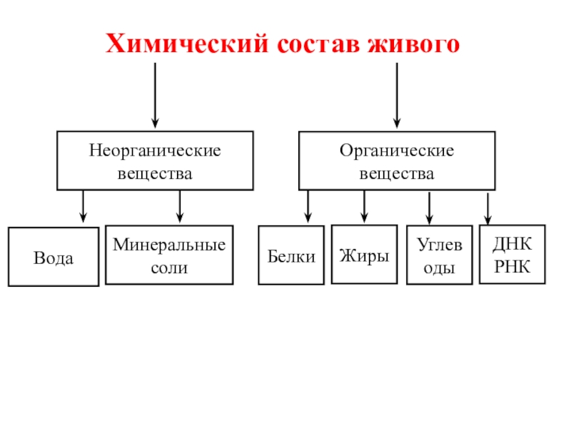 Химический состав живого