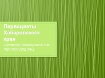 Презентация по окружающему миру