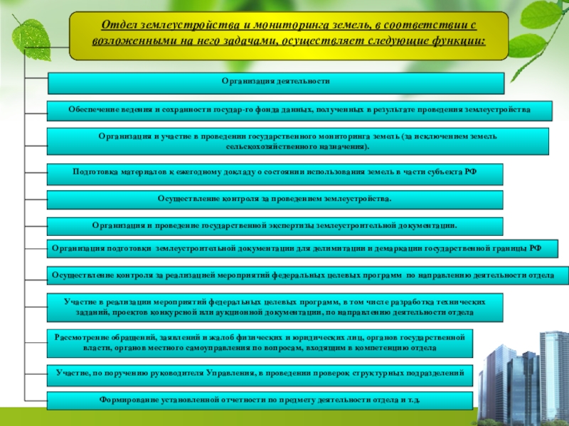 Проект освоения лесов на землях сельскохозяйственного назначения