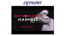 Презентация к песне Elephant (Guy Sebastian)