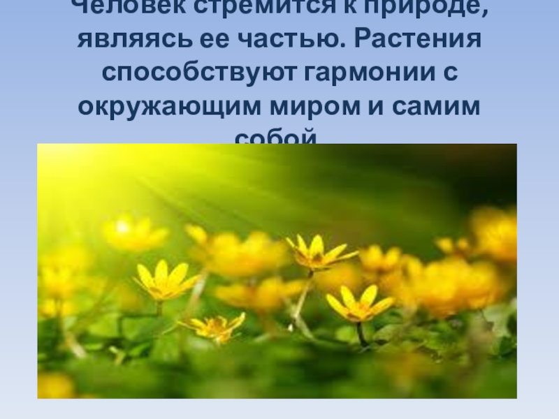 Природа является частью