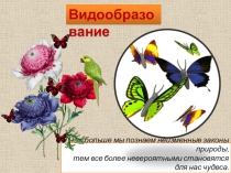 Презентация по биологии на тему Видообразование (9 класс).