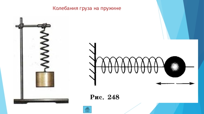 Вертикальные свободные колебания. Свободные колебания груза на пружине. Колебания пружины. Колейбани груза напружине. Колебания грузика на пружине.