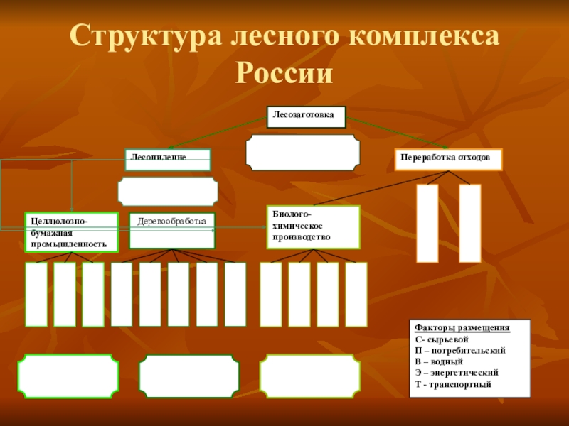 Лесной комплекс 9 класс география презентация