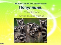 Презентация к уроку биологии на тему Популяция(9 класс)