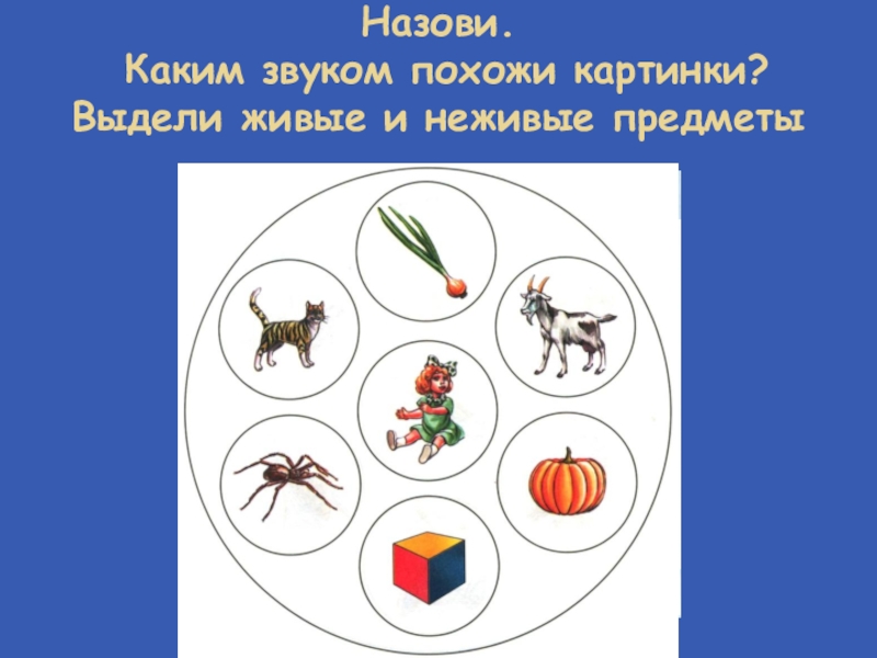 Похожие звуки. Автоматизация звука кь. Автоматизация звука кь в словах. Автоматизация навыка произношения звуков. Предложения со звуком кь.