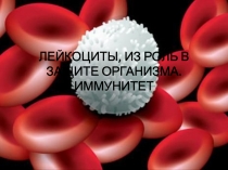 Лейкоциты. Роль в защите организма