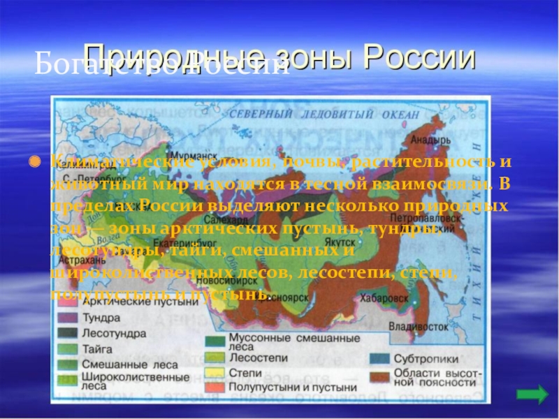Перечислите природные зоны района. Природные зоны России. Основные природные зоны России. Карта природных зон. Природные зоны 4 класс.
