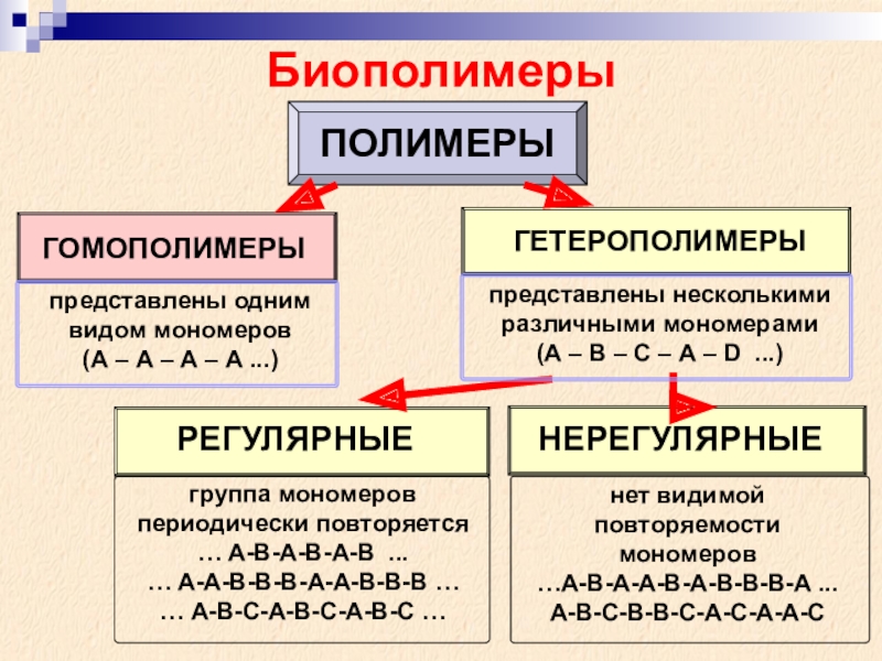 Мономеры какого биополимера представлены на рисунке