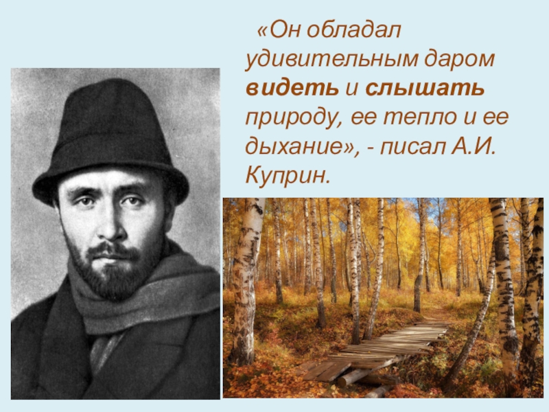 Интересные факты о соколове микитове. Соколов Микитов портрет. Ивана Сергеевича Соколова-Микитова. Портрет Ивана Соколова Микитова.