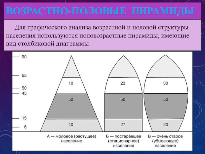 Структура по возрасту. Типы демографических пирамид. Типы воспроизводства населения Половозрастная пирамида. Типы половозрастных пирамид. Возрастные пирамиды населения.