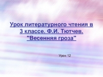 Презентация по литературному чтению по теме Весенняя гроза