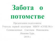 Презентация по биологии на тему Забота о потомстве.