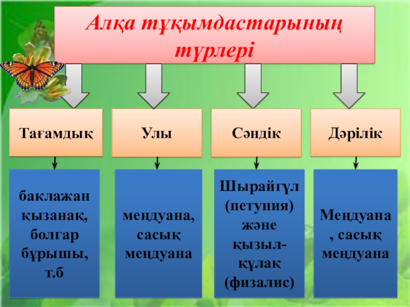 Мәдени өсімдіктер презентация