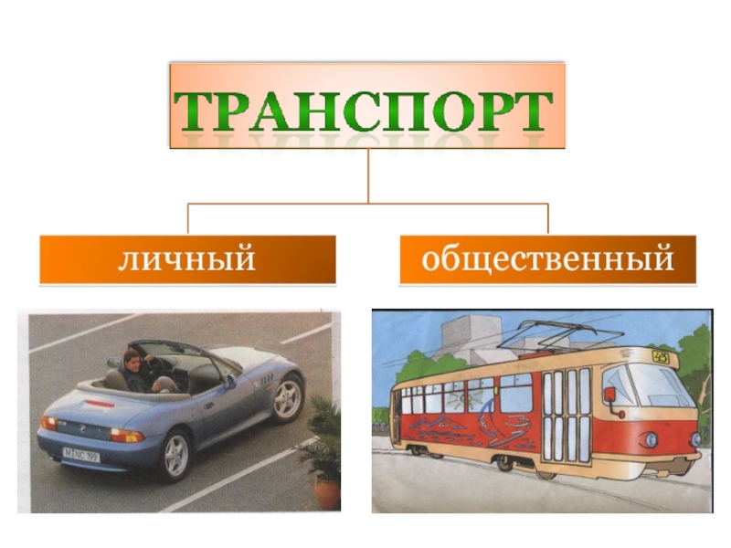 Личное и общественное. Окружающий мир. Транспорт. Личный транспорт. Личный и общественный транспорт. Личный транспорт виды.