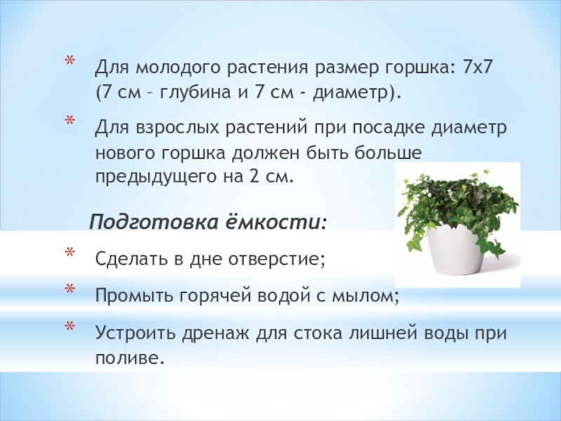 Для молодого растения размер горшка: 7х7 (7 см – глубина и 7 см - диаметр).Для взрослых растений