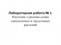Презентация по русскому языку на тему Лабораторная работа (6 класс)