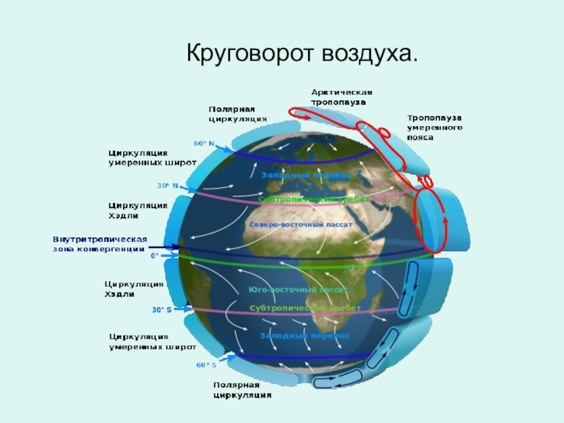 Воздушные круговороты. Круговорот воздуха. Схема общей циркуляции атмосферы. Глобальная циркуляция атмосферы. Круговорот воздуха схема.