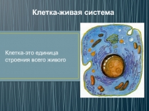 Презентация по биологии на тему Клетка-живая система