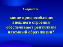 Внутреннее строение пресмыкающихся