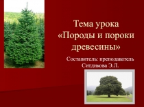 Презентация по дисциплине ОП.02 Материаловедение на тему Породы и пороки древесины