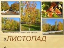 Межпредметная проектная задача: Листопад.