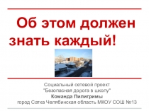 Социальный сетевой проект Безопасная дорога в школу (презентация)