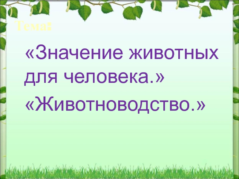 Презентация значение млекопитающих для человека 7 класс биология