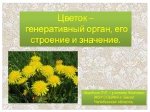 Презентация по биологии на тему Цветок - генеративный орган, его строение и значение
