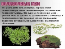 Презентация по биологии на тему Мхи (5 класс)
