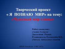 Презентация по окружающему миру Я познаю мир Чудесный мир глины.