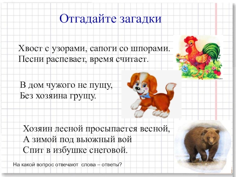 Загадка хвост. Загадка хвост с узорами сапоги со шпорами. Загадки с хвостом. Загадки для детей хвост с узорами сапоги со шпорами. Загадки со словом хвост.