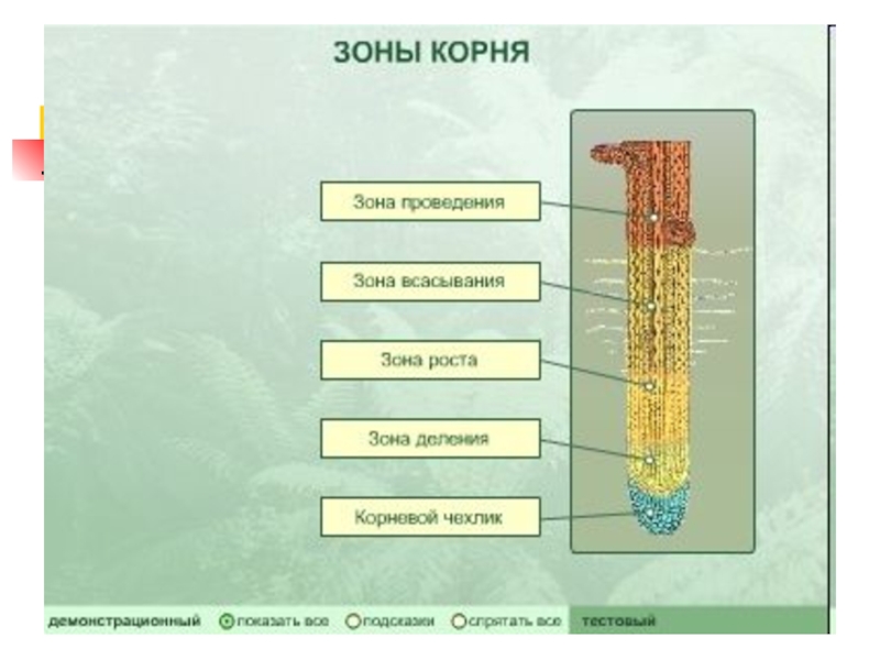 Корневой чехлик тип ткани