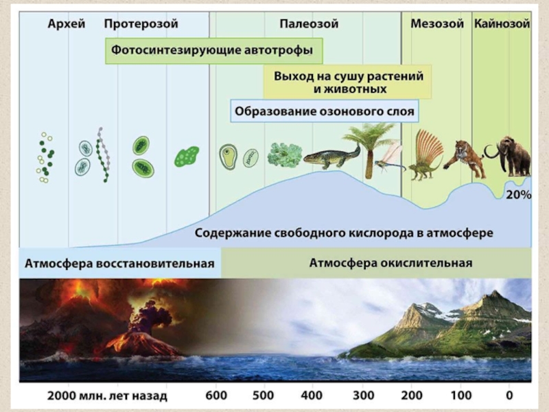 Эры жизни на земле презентация