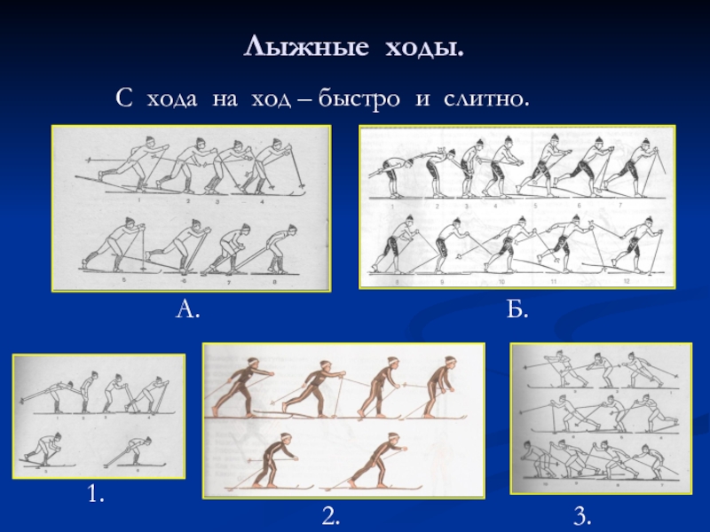 Виды хода. Все лыжные ходы. Виды лыжных ходов. Три лыжных хода. Лыжные хода по группам.