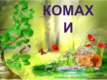 Презентація з природознавства. Хто такі комахи?