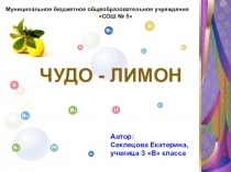 Презентация к исследовательской работе Чудо-лимон