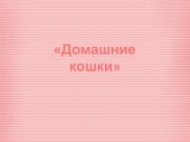 Презентация по окружающему миру на тему Домашние кошки