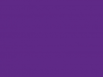 Презентация по математике Проценты 5 класс