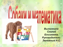 Презентация Собаки и их рекорды