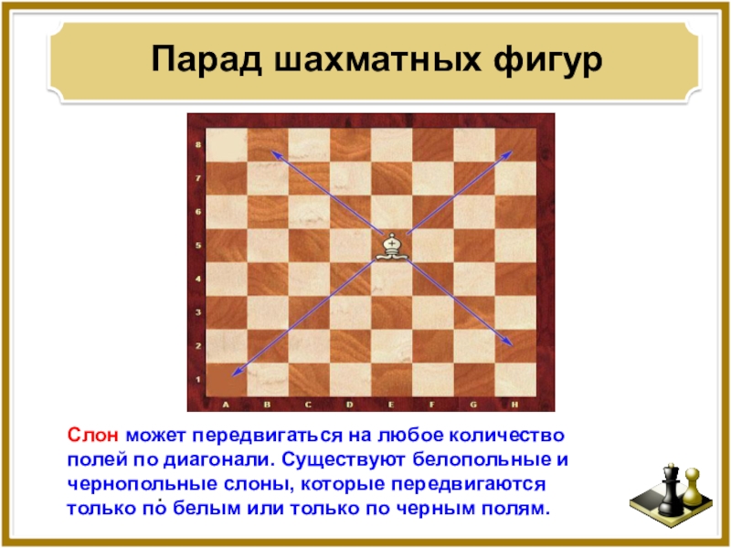 Знакомство С Шахматными Фигурами Конспект Занятия