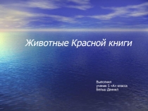 Презентация по биологии 5 класс