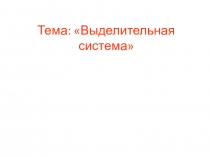 Презентация к уроку Выделительная система